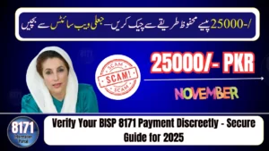 Verify Your BISP 8171 Payment Discreetly – Secure Guide for 2025