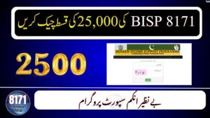 BISP 8171 Rs. 25,000 November Qist: Check Status by CNIC Now