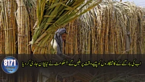 Govt Confirms Sugarcane Crushing Season to Begin November 15 — Action Against Delays