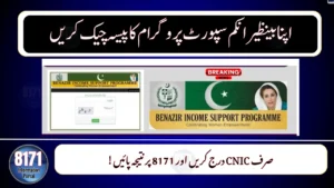 BISP Status Check 2025 – Verify CNIC & Track Payments on 8171 Portal