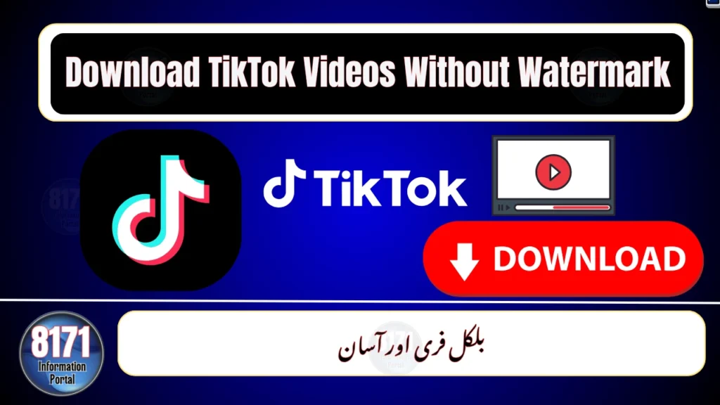 TikTok Video Downloader