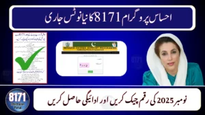 BISP 8171 November 2025 Notice Released – Check CNIC Eligibility and Payment Details