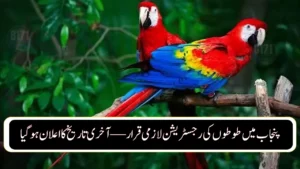Punjab Announces Deadline for Parrot Registration — Here’s How to Apply