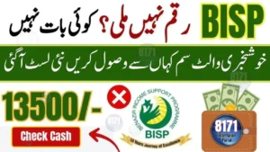 BISP Wallet SIM 8171 Complete Guide 2025