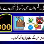 8171 Payment Missing in Wallet? Here Are the Fastest Fixes (2025 Update)