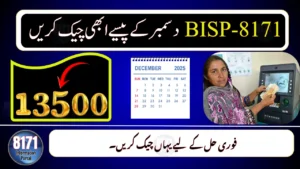 How to Verify 8171 December Payment by CNIC – Complete Guide 2025