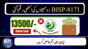BISP November–December Validation 2025: Check Eligibility Before Payment Day