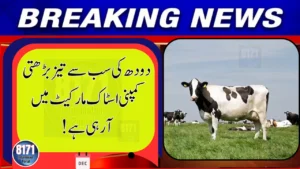 Ghani Dairies to Raise Rs. 2.5 Billion Through PSX IPO